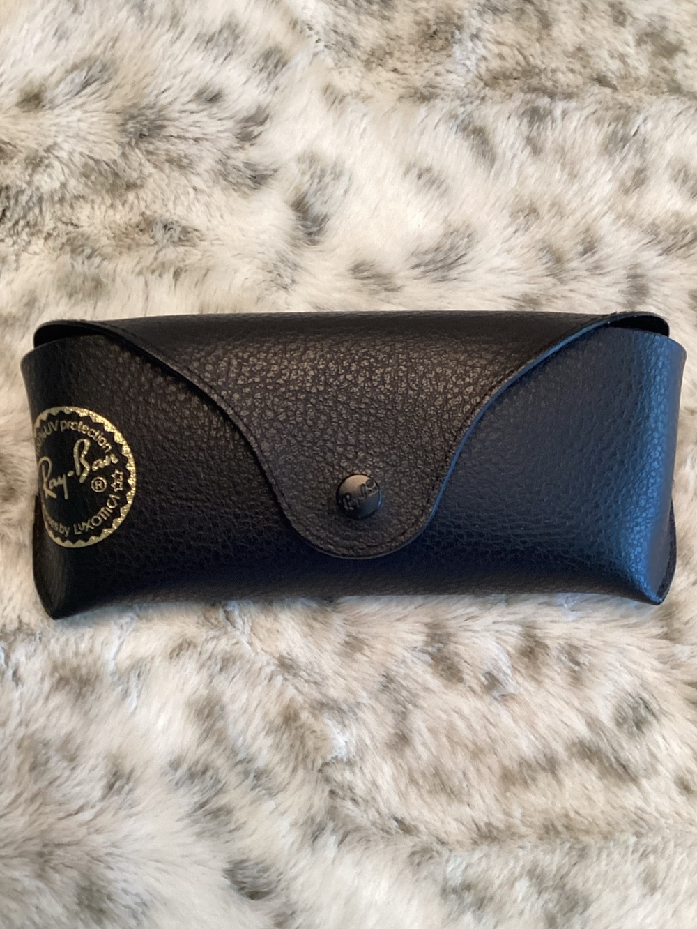 Ray-Ban Glasses Case